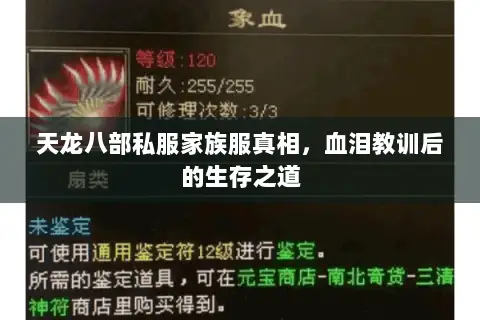 天龙八部私服家族服真相,血泪教训后的生存之道 天龙八部私服家族服真相,血泪教训后的生存之道