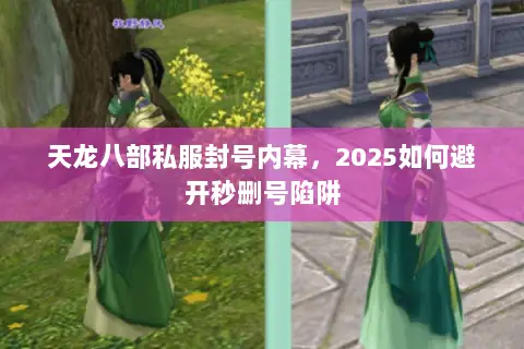 天龙八部私服封号内幕，2025如何避开秒删号陷阱