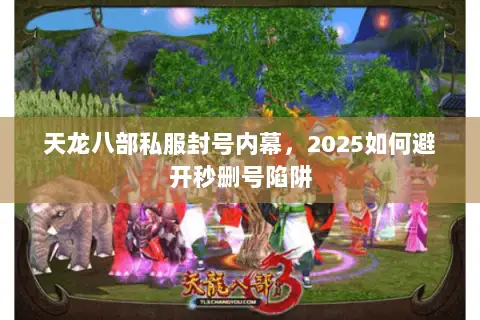 天龙八部私服封号内幕，2025如何避开秒删号陷阱
