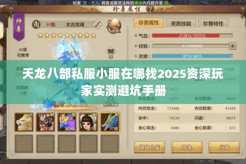 天龙八部私服小服在哪找2025资深玩家实测避坑手册