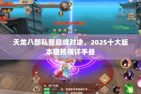 天龙八部私服巅峰对决,2025十大版本硬核横评手册 天龙八部私服巅峰对决,2025十大版本硬核横评手册
