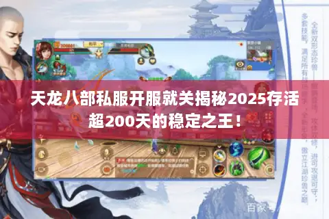 天龙八部私服开服就关揭秘2025存活超200天的稳定之王! 天龙八部私服开服就关揭秘2025存活超200天的稳定之王!