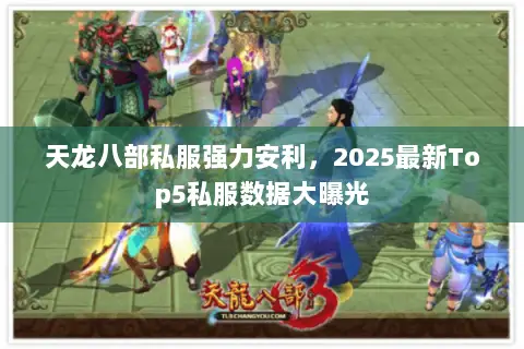 天龙八部私服强力安利，2025最新Top5私服数据大曝光