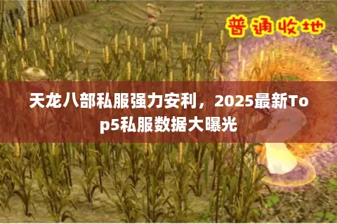 天龙八部私服强力安利，2025最新Top5私服数据大曝光