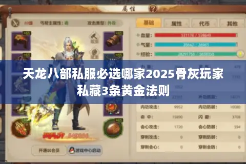 天龙八部私服必选哪家2025骨灰玩家私藏3条黄金法则 天龙八部私服必选哪家2025骨灰玩家私藏3条黄金法则