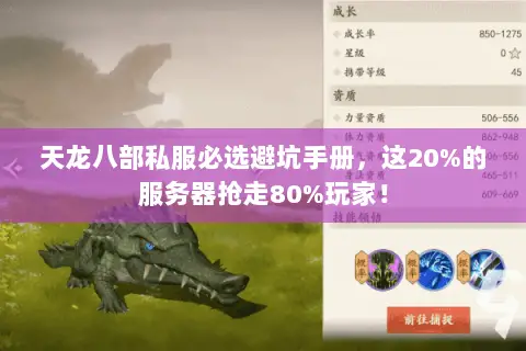 天龙八部私服必选避坑手册,这20%的服务器抢走80%玩家! 天龙八部私服必选避坑手册,这20%的服务器抢走80%玩家!
