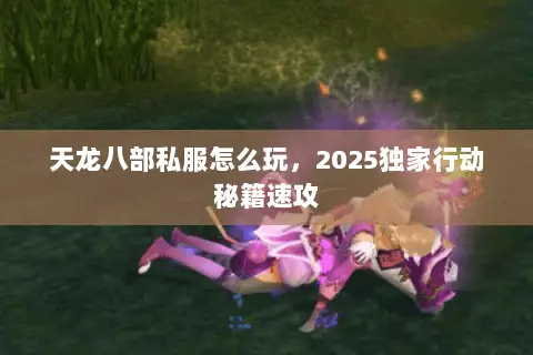 天龙八部私服怎么玩,2025独家行动秘籍速攻 天龙八部私服怎么玩,2025独家行动秘籍速攻