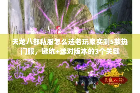 天龙八部私服怎么选老玩家实测5款热门服,避坑+选对版本的3个关键 天龙八部私服怎么选老玩家实测5款热门服,避坑+选对版本的3个关键