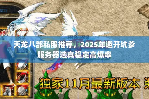 天龙八部私服推荐,2025年避开坑爹服务器选真稳定高爆率 天龙八部私服推荐,2025年避开坑爹服务器选真稳定高爆率