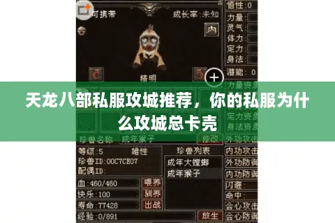 天龙八部私服攻城推荐,你的私服为什么攻城总卡壳 天龙八部私服攻城推荐,你的私服为什么攻城总卡壳