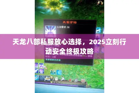 天龙八部私服放心选择,2025立刻行动安全终极攻略 天龙八部私服放心选择,2025立刻行动安全终极攻略