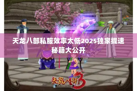 天龙八部私服效率太低2025独家提速秘籍大公开 天龙八部私服效率太低2025独家提速秘籍大公开