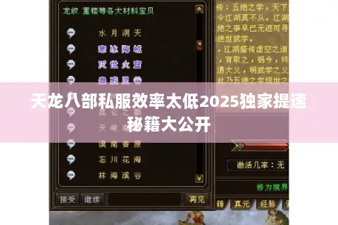 天龙八部私服效率太低2025独家提速秘籍大公开 天龙八部私服效率太低2025独家提速秘籍大公开