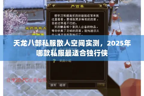 天龙八部私服散人空间实测,2025年哪款私服最适合独行侠 天龙八部私服散人空间实测,2025年哪款私服最适合独行侠