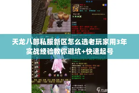 天龙八部私服新区怎么选老玩家用3年实战经验教你避坑+快速起号 天龙八部私服新区怎么选老玩家用3年实战经验教你避坑+快速起号