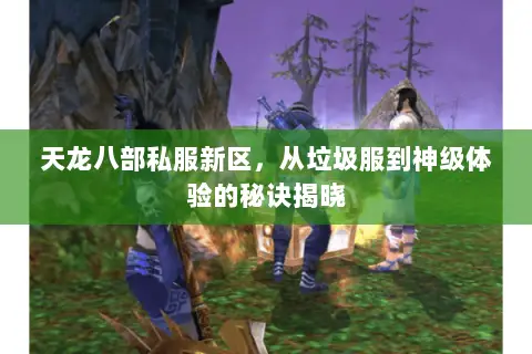 天龙八部私服新区,从垃圾服到神级体验的秘诀揭晓 天龙八部私服新区,从垃圾服到神级体验的秘诀揭晓
