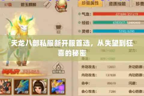 天龙八部私服新开服首选,从失望到狂喜的秘密 天龙八部私服新开服首选,从失望到狂喜的秘密