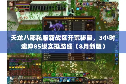 天龙八部私服新战区开荒秘籍，3小时速冲85级实操路线（8月新版）