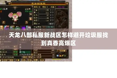 天龙八部私服新战区怎样避开垃圾服找到真香高爆区 天龙八部私服新战区怎样避开垃圾服找到真香高爆区