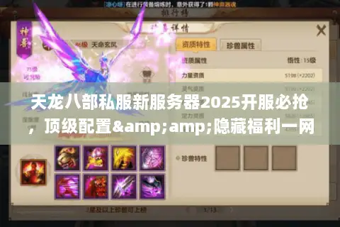 天龙八部私服新服务器2025开服必抢，顶级配置&amp;隐藏福利一网打尽