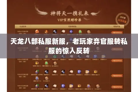 天龙八部私服新服，老玩家弃官服转私服的惊人反转