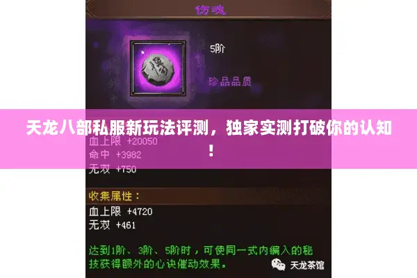 天龙八部私服新玩法评测，独家实测打破你的认知！