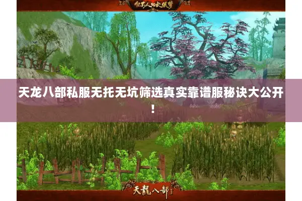 天龙八部私服无托无坑筛选真实靠谱服秘诀大公开! 天龙八部私服无托无坑筛选真实靠谱服秘诀大公开!