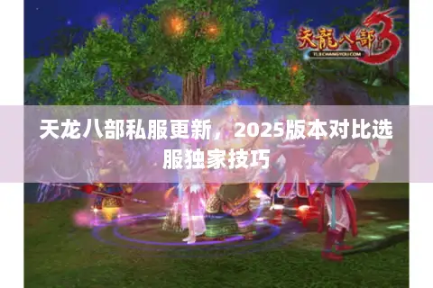 天龙八部私服更新,2025版本对比选服独家技巧 天龙八部私服更新,2025版本对比选服独家技巧