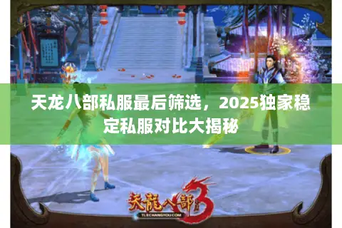 天龙八部私服最后筛选,2025独家稳定私服对比大揭秘 天龙八部私服最后筛选,2025独家稳定私服对比大揭秘