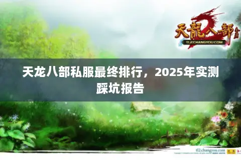 天龙八部私服最终排行,2025年实测踩坑报告 天龙八部私服最终排行,2025年实测踩坑报告