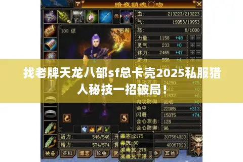 找老牌天龙八部sf总卡壳2025私服猎人秘技一招破局！