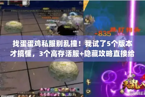 找蛋蛋鸡私服别乱撞!我试了5个版本才搞懂,3个高存活服+隐藏攻略直接给 找蛋蛋鸡私服别乱撞!我试了5个版本才搞懂,3个高存活服+隐藏攻略直接给