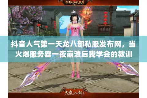 抖音人气第一天龙八部私服发布网，当火爆服务器一夜崩溃后我学会的教训