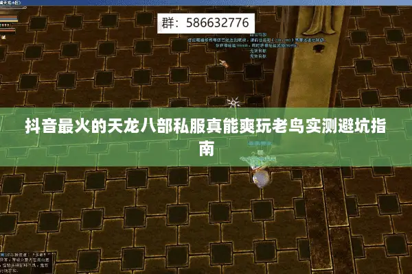 抖音最火的天龙八部私服真能爽玩老鸟实测避坑指南 抖音最火的天龙八部私服真能爽玩老鸟实测避坑指南