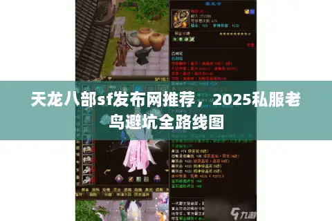 天龙八部sf发布网推荐,2025私服老鸟避坑全路线图 天龙八部sf发布网推荐,2025私服老鸟避坑全路线图