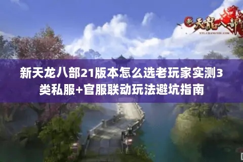 新天龙八部21版本怎么选老玩家实测3类私服+官服联动玩法避坑指南