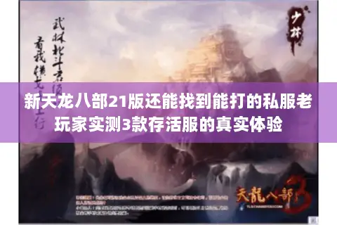新天龙八部21版还能找到能打的私服老玩家实测3款存活服的真实体验