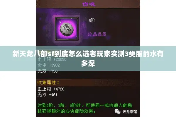新天龙八部sf到底怎么选老玩家实测3类服的水有多深 新天龙八部sf到底怎么选老玩家实测3类服的水有多深