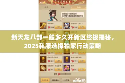 新天龙八部一般多久开新区终极揭秘，2025私服选择独家行动策略