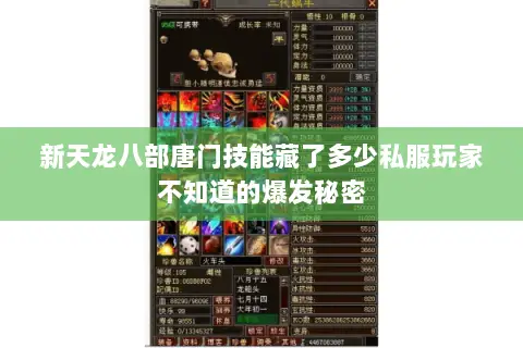 新天龙八部唐门技能藏了多少私服玩家不知道的爆发秘密