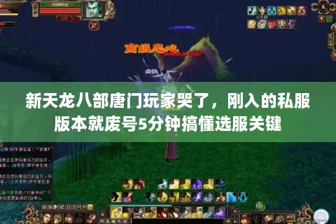 新天龙八部唐门玩家哭了,刚入的私服版本就废号5分钟搞懂选服关键 新天龙八部唐门玩家哭了,刚入的私服版本就废号5分钟搞懂选服关键