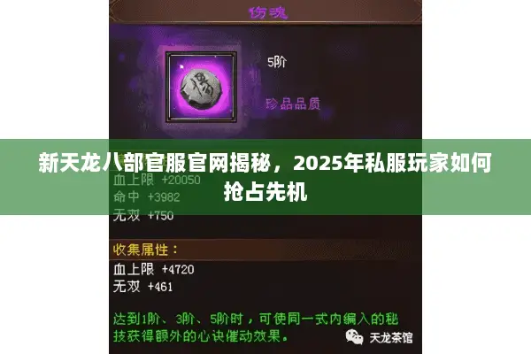 新天龙八部官服官网揭秘,2025年私服玩家如何抢占先机 新天龙八部官服官网揭秘,2025年私服玩家如何抢占先机