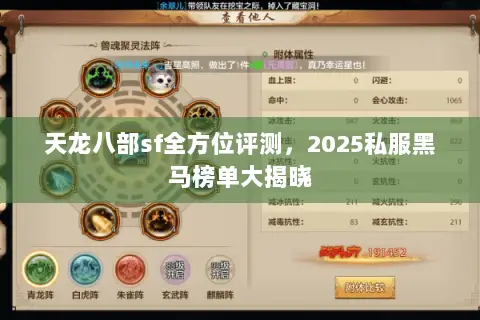 天龙八部sf全方位评测,2025私服黑马榜单大揭晓 天龙八部sf全方位评测,2025私服黑马榜单大揭晓