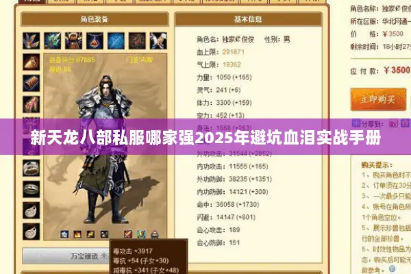 新天龙八部私服哪家强2025年避坑血泪实战手册