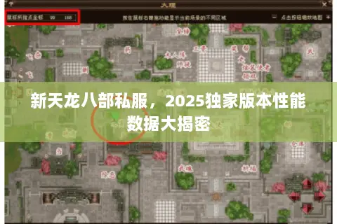新天龙八部私服，2025独家版本性能数据大揭密