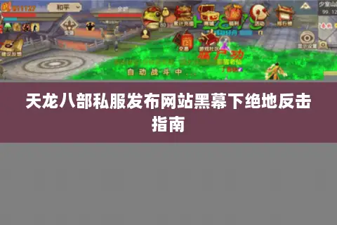天龙八部私服发布网站黑幕下绝地反击指南 天龙八部私服发布网站黑幕下绝地反击指南