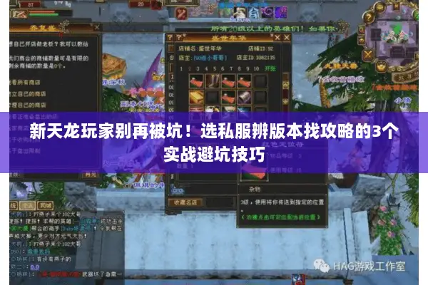 新天龙玩家别再被坑!选私服辨版本找攻略的3个实战避坑技巧 新天龙玩家别再被坑!选私服辨版本找攻略的3个实战避坑技巧