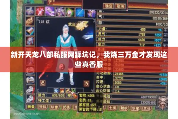新开天龙八部私服网踩坑记，我烧三万金才发现这些真香服