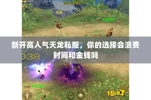 新开高人气天龙私服,你的选择会浪费时间和金钱吗 新开高人气天龙私服,你的选择会浪费时间和金钱吗