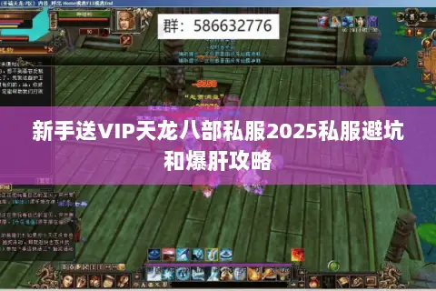 新手送VIP天龙八部私服2025私服避坑和爆肝攻略